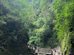 -青城山