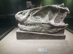 -自贡恐龙博物馆