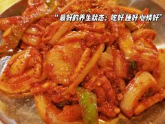 炒鱿鱼-包装马车·韩国料理·포장마차