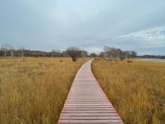 -塞罕坝国家级自然保护区