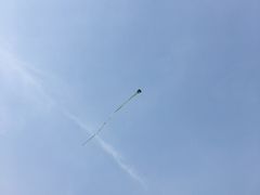 -天津东丽湖风景区