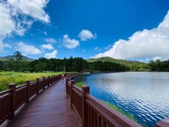 -海南热带雨林国家公园吊罗山景区