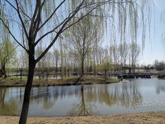 -东郊湿地公园