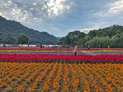 -广州市石门国家森林公园