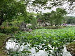 -阿妹小海鲜(下角店)