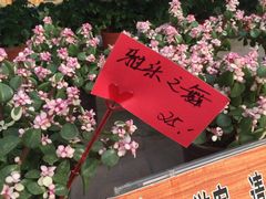 -北戴河集发农业梦想王国