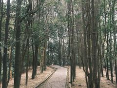 -火炉山森林公园