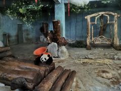 -海南热带野生动植物园