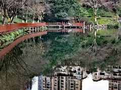 -重庆彩云湖湿地公园