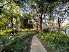 -文华公园(禅城区)