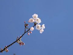 -醍醐寺