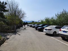 -尚庄度假村·庭台树下·户外烧烤·团建CS·轰趴营地(上庄水库店)