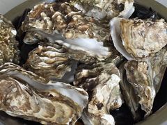 -宾朋海鲜特色美食餐厅·纯手工鲅鱼水饺(兴海路店)