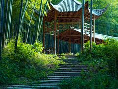 -宜兴龙背山森林公园
