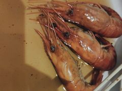 -圆苑(静安寺店)