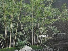 -宫七SPA·高端Massage(浦东大道店)