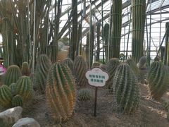 -南山植物园