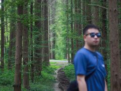 -黄海国家森林公园