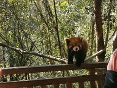 -普洱太阳河森林公园