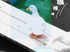 -福州罗源湾海洋世界旅游区