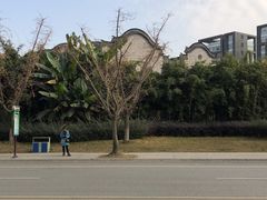 -龙潭水乡