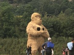 -嵖岈山风景区