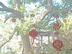 -浙江西子宾馆·瑶园咖啡厅