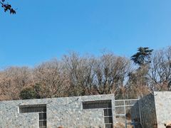 -南京珍珠泉风景区