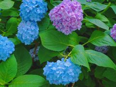 -常州古运河南大街文化旅游区-人民公园