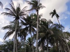 -红色娘子军纪念园