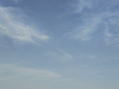 -顽啤熊·酒客酒馆(苏城夜景必选店)