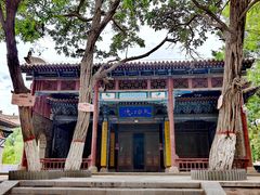 -张掖大佛寺景区