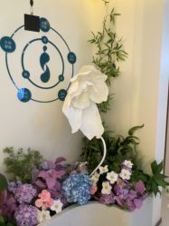 -头道汤头疗养生馆