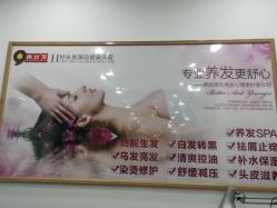 点击看大图 -黑奥秘脱发白发中心