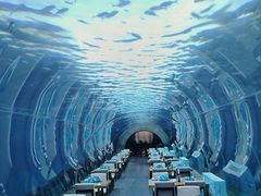-涛·海底餐厅·美人鱼·自助餐·海底隧道(三亚海棠湾洲际度假酒店)