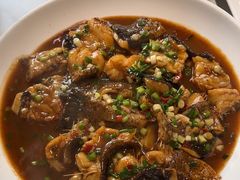 -全乐鱼馆·淳牌有机鱼直营店