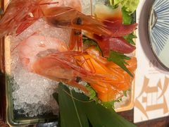 -芥岛(河北大街店)