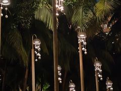 -海南清水湾莱佛士酒店