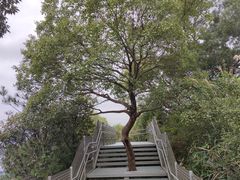 -福道