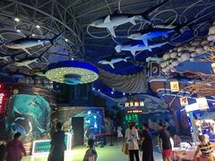 -烟台海昌鲸鲨海洋公园