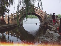 -老济南药膳把子肉(周公祠街店)