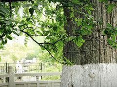 -常熟方塔园