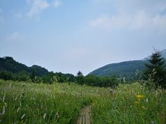 -白草畔自然风景区