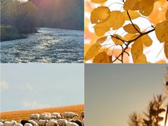 -莫尔道嘎国家森林公园