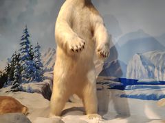 -陕西自然博物馆