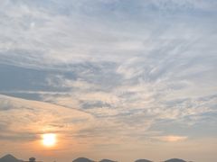 -贵州百里杜鹃风景名胜区