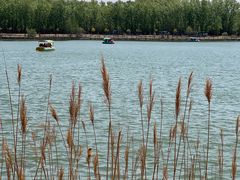 -野鸭湖国家湿地公园
