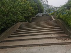 -南山植物园