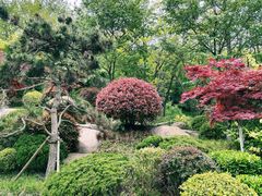 -北岭山森林公园