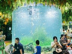 -海合安成都极地海洋公园